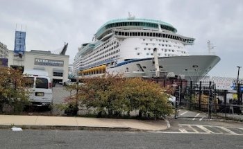 Flynn Cruiseport Boston Black Falcon Terminal