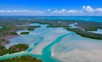 Eco Endeavors & Breakwater Adventures