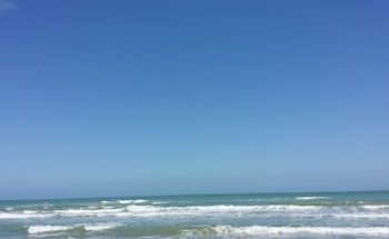 South Padre Trips | South Padre Vacation Rentals