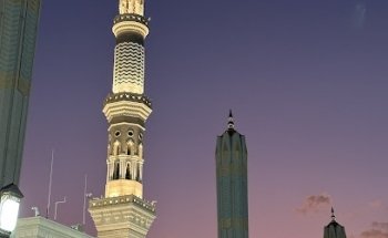 Sara International Travel