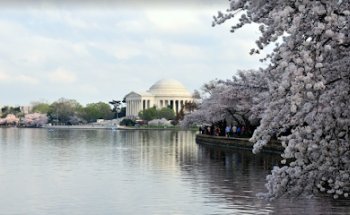 Scholastica Travel Inc.