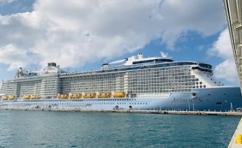 American Discount Cruises & Travel