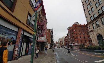 Lion/Tiger Travel Bus