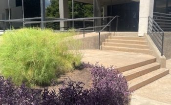 The Passport & Visa Company