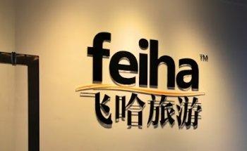 飞哈旅游 Feiha Travel 布鲁克林旅行社 法拉盛旅行社