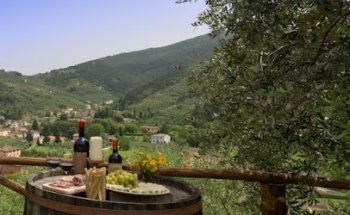 The International Kitchen