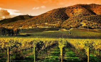 MG Concierge, Destinations & Travel