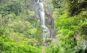 CR Surf Travel Company