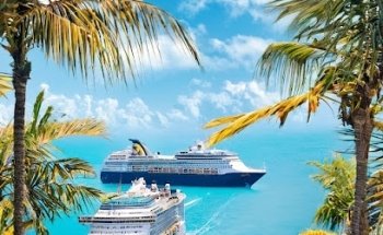 WizFair LLC- Travel Agency