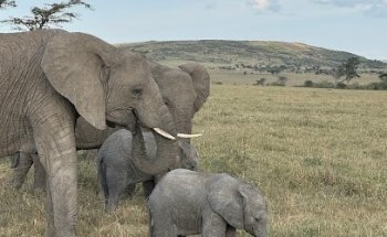 Travel Beyond - Travel Agency