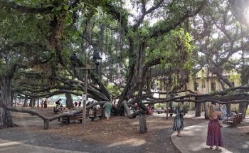 Holiday Systems International