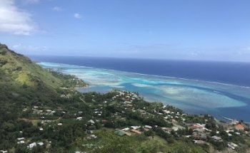 SVH Tours & Travel Services