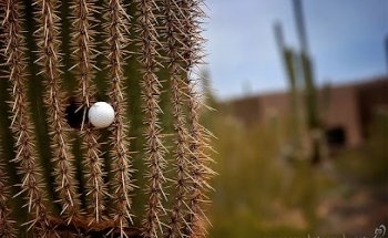 Meridian CondoResorts