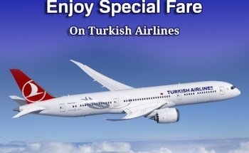 Global Tours And Travel Inc