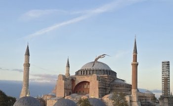 Hans Travel (한스여행사)