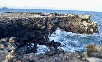 Velocity Tours & Travel