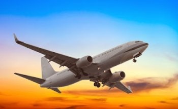 Ambassador Passport and Visa Services, Inc.