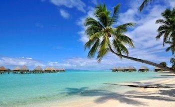 First Choice Travel & Cruise