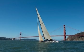 San Francisco Bay Adventures