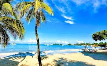 Vacations In Paradise