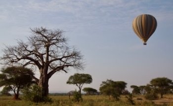 Piper & Heath Travel