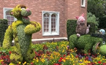 Dream Vacations- Brian Wilkinson