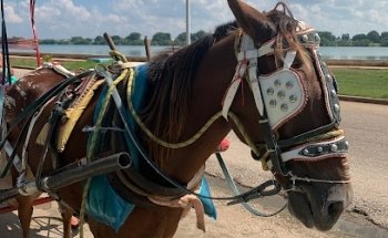 DESTINOS TRAVEL AND TOURS