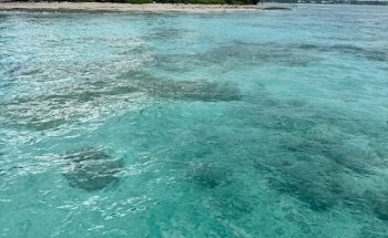 Wanderlust Travel Group