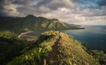 LaMacchia Travel Agency