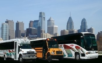 David Tours and Travel