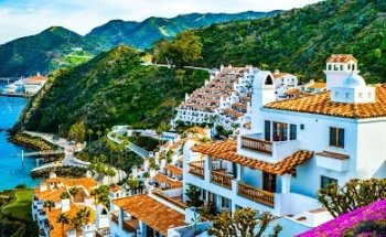 Hamilton Cove Real Estate and Vacation Rentals