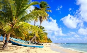 Aero Paradise Travel