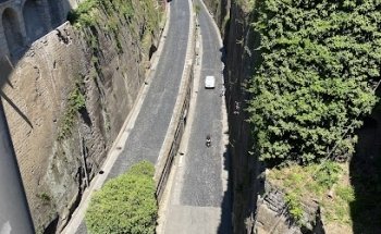 Travel With Pam Draper