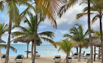 TUI at Home Nanette Heijne