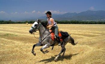 Scenic Travel - ReisCreaties