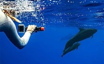 Wild Side Specialty Tours