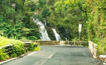 Road To Hana Tours