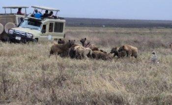 LES PERLES DE L OCEAN INDIEN