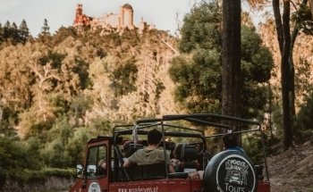 Wonder Van - Tours | Experiences | Events