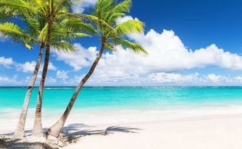 Esprit de voyages Sceaux