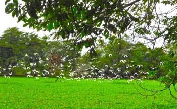 RIVERS TOURS MAGDALENA