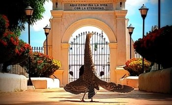 RIVERS TOURS MAGDALENA