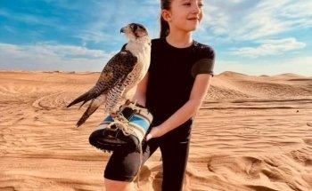 Desert Safari Dubai - DTTS