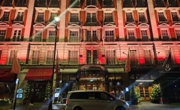 Goldfinch Executives LTD