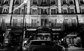 Goldfinch Executives LTD