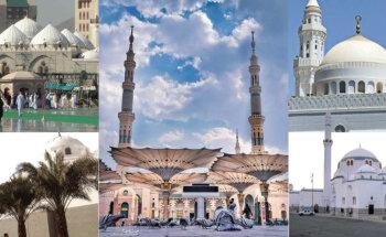 Haleema Limited