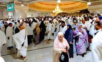 Hadi Tours