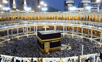 Hadi Tours