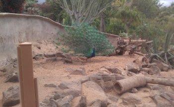 Admiral Travel Agencia de Viajes