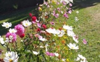 Agence Havas Voyages